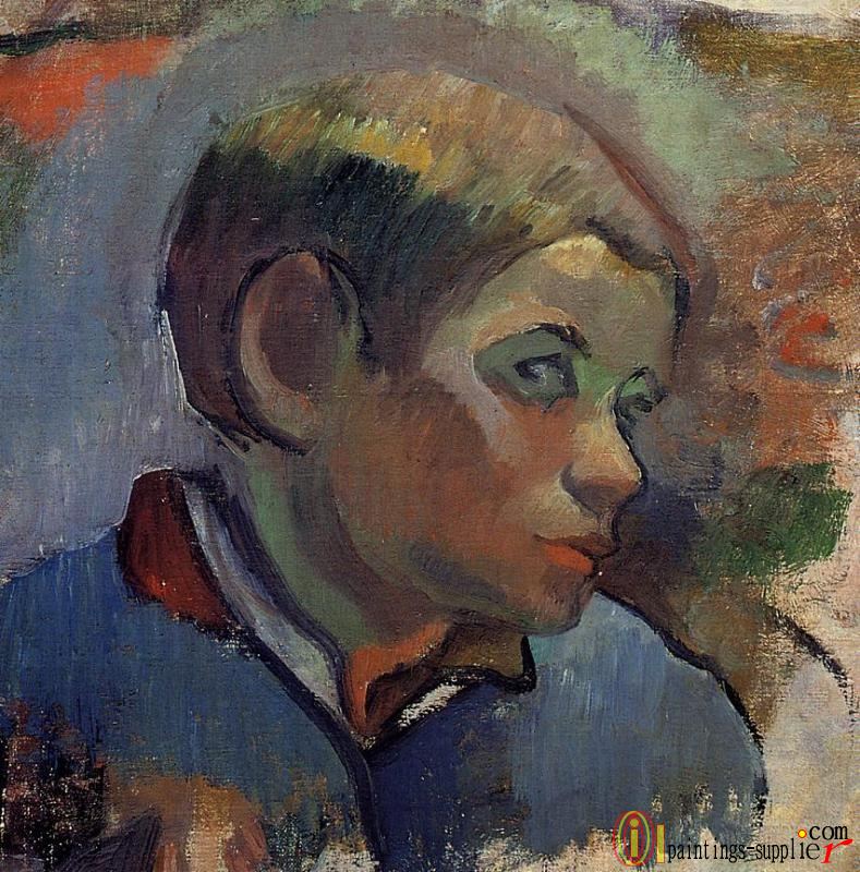 Portrait of a Little Boy