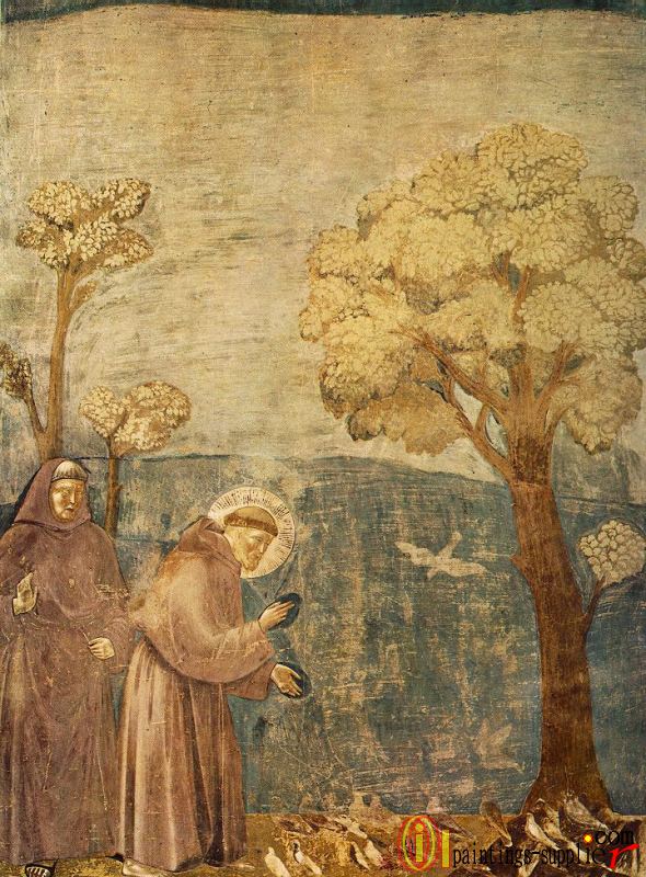 Legend of St Francis 15 Sermon to the Birds