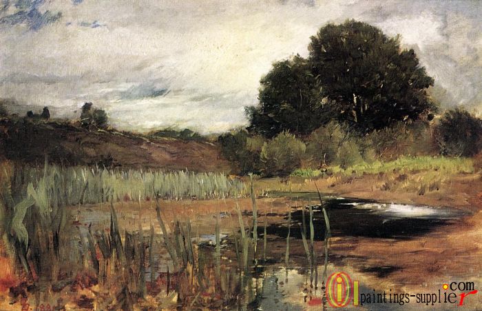 Polling Landscape,1881