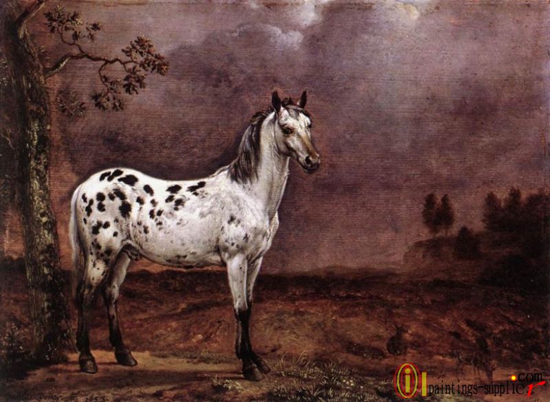 The Spotted Horse.