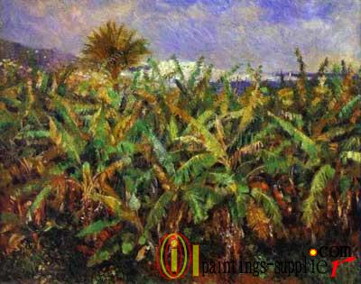 Field of Banana Trees, 1881